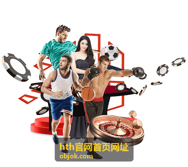 hth官网首页网址入口校验流程示意